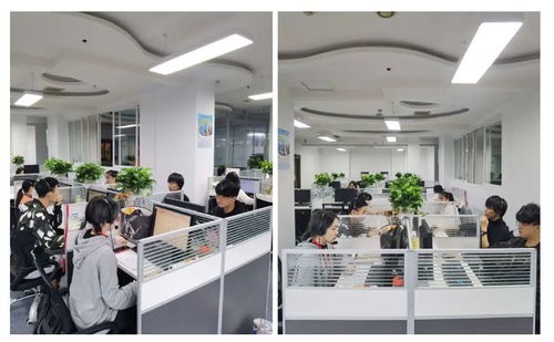 成都市成華區第七次全國人口普查咨詢熱線正式開通，為您提供便捷信息咨詢服務